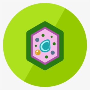 The Plant Cell - Plant Cell Icon #3268143