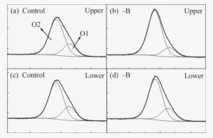Deconvoluted High Resolution Xps O1s Spectrum Of Control - Diagram #3268226