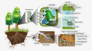 Other New Approaches Suggested Will Provide As Yet - Ecosystem To Molecules Interactions Are Important #3268371