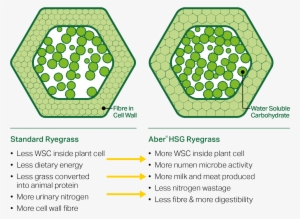 Get In Touch - Hexagon Geometry #3268639