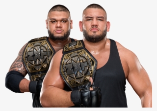 Professional Wrestling - Visit - Authors Of Pain Nxt Tag Champions #3268897