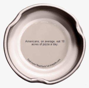 The Snapple Education - Education #3269803 The Snapple Education - Education #3269803