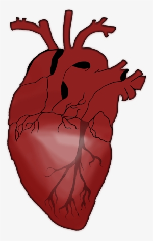 I Took A Reference Picture , And I Simplified It - Illustration #3270763