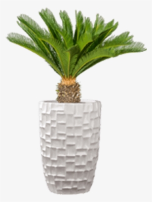Fiber Glass Planters Crystal White - Fiberglass #3270764