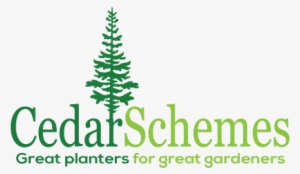 Cedarschemes Makes Natural Cedar Planters And Garden - Christmas Tree #3271099