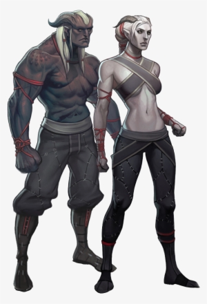 Dragon Age 2 Qunari #3271317