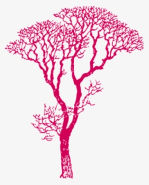 Nature Tree African Dk Pink Image - Gum Tree Silhouette Vector #3273177 Nature Tree African Dk Pink Image - Gum Tree Silhouette Vector #3273177