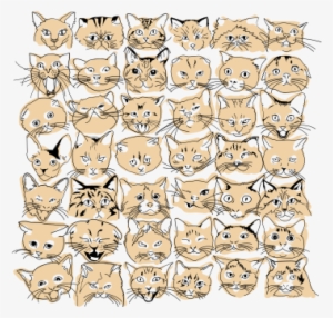 Canva Assets - House #3273738