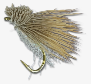 Fat Head Moth - Pest #3273785 Fat Head Moth - Pest #3273785