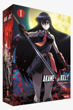 Akame Ga Kill: Collection 1 (blu-ray / Collector's #3273884