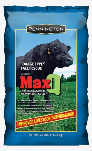 Penn Max Q - Pennington Kentucky 31 Tall Fescue Grass Seed, 3 Lbs, #3273955