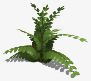 Fern Leaf Colours - Fern #3274656