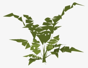 Fern Built - Wiki #3274773