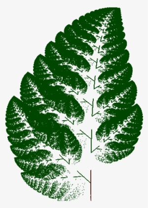 Fern1 - Illustration #3274997