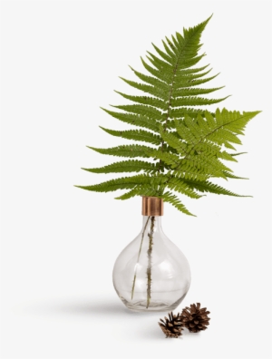 Leaf - Wedding #3275137