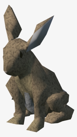 Runescape Rabbit #3275458