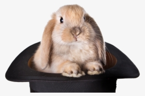 Rabbit Hat Transparent Background Png - Rabbit Out Of My Hat #3275685