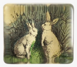 Two Rabbits Two Rabbits - Rabbit #3275714