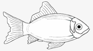 Clipart Info - Fish Clip Art #3277555