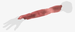 Hololens - Cervelat #3277937