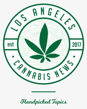 Gimnazjum W Czarnym Lesie #3277983