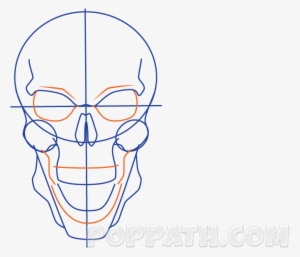 Play Slideshow - Skull #3278518
