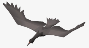 Cormorant - Wiki #3278562