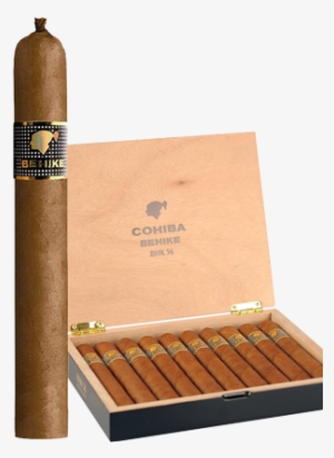 Cohiba Behike Bhk 56 Cigar Shops, Cigar Art, Cigar - Cohiba Behike 52 #3280106
