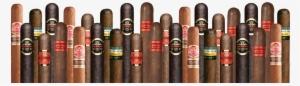 Join The Cdo Cigar Club - Hardwood #3280943
