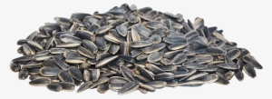 Sunflower Seeds - Roasted Sunflower Seeds #3280974