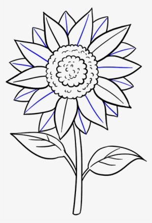 Drawn Sunflower Easy - Sunflower Drawing Step By Step Easy #3280996