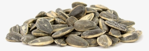 Sunflower Seeds #3281045