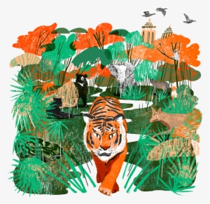 Mike Unwin Travelled To India's Madhya Pradesh To Follow - Jungle Book Illustration #3281644