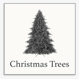 Christmas Trees #3281850