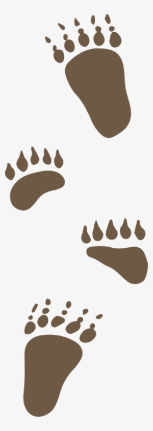 Black Bear Claw Marks Are Not Always Visible #3282370