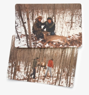 20 Memories Of The Return Of The Whitetail Deer - Snow #3282397