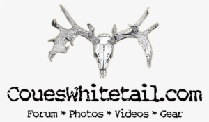 Four Deer With Four Bullets - Blog #3282547