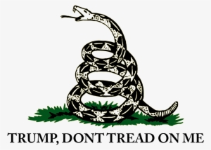 Gadsden Flag - Don T Grab My Pussy #3284140