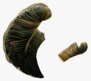 Tyga Sticker - Silver Spotted Skipper #3284143