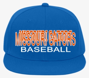 Missouri Gators Missouri Gators Baseball - Ktm #3284334