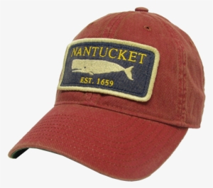 Orthopedic Foundation For Animals #3284508 Orthopedic Foundation For Animals #3284508