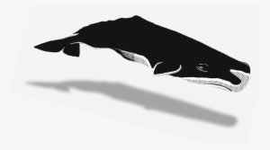 Share - Humpback Whale #3285545