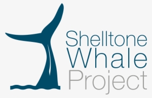 Whale, Dolphin And Sperm Whale Watching In Guadeloupe, - Square One Resources #3285867