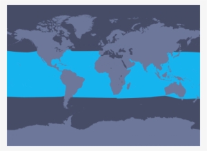 Distribution Map - - Pygmy Sperm Whale Distribution #3285893