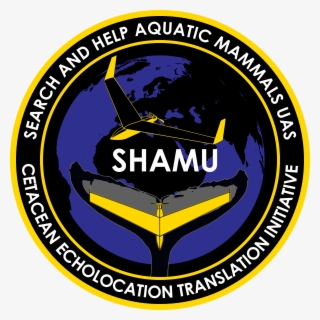 Marine Sound Pollution, Mass Beachings, And Ship Strikes - Obama Farewell Speech Stage #3285919