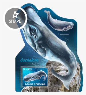 Issue Of Sao Tome And Principe Postage Stamps - São Tomé And Príncipe #3285936