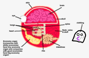 Companyball Anatomy - Creative Economy #3286266