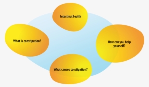 Digestive Health - Health #3286559