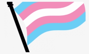 Comparative Perspectives On Transgender Identity Laws - Transgender #3289411