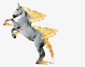 Looks Like The Second Rapidash Didn't Post Well, Here - Cheval Blanc Cabré #3292114